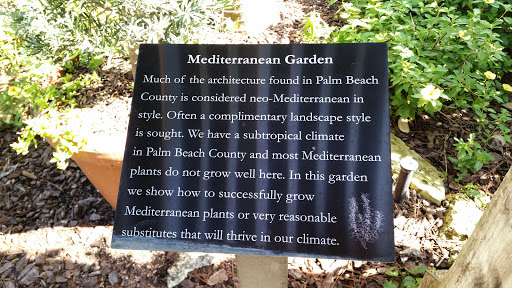 Mediterranean Garden 