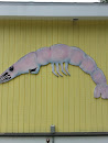 Daufuskie Shrimp Wall Art
