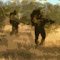 sa_bushwar