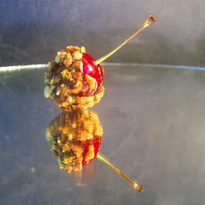 Chocolate-Dipped Cherries With Pistachios