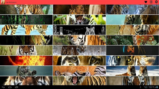 How to mod Tiger Wallpapers lastet apk for bluestacks