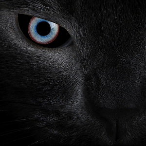 Black cat eyes live wallpaper.apk 1.1.1