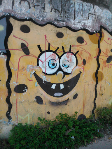 Grafite Cabeça Esponja 