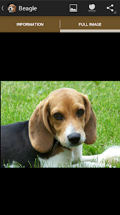 How to install Puppies 1.2.13 unlimited apk for pc