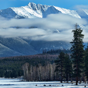 The Bob Marshall Wilderness by Diana Treglown - Landscapes Forests ( forests, mountains, wilderness, montana )