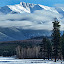 The Bob Marshall Wilderness by Diana Treglown - Landscapes Forests ( forests, mountains, wilderness, montana )