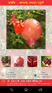 How to mod Pomegranate GAP lastet apk for laptop