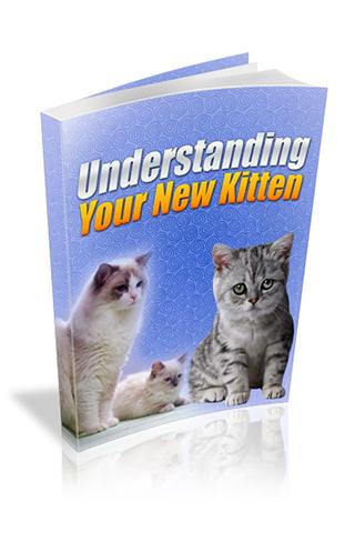 Understanding Your New Kitten