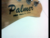 Guitarra Electrica Palmer