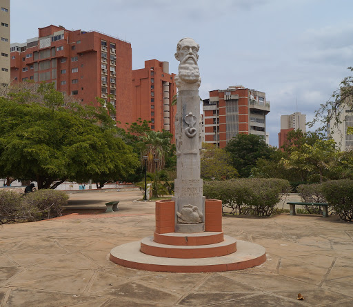Busto Jose Ramon Yepes En Plaza Yepes
