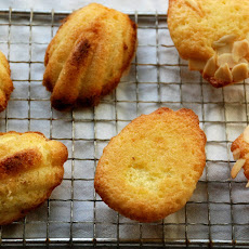 Citrus Madeleines