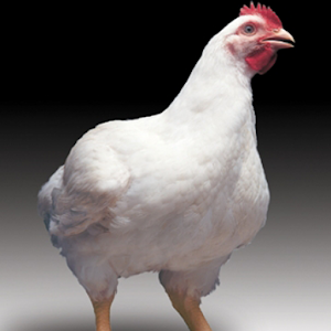 NPICK VIEW.apk 1.10.1