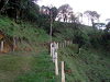 Nice Farm  Guarco Cartago $125000