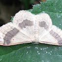 Riband Wave