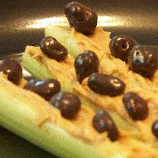 Little Bumps on a Log