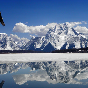 canadian landscape by Paul Scullion - Landscapes Mountains & Hills ( water, clouds, hills, reflection, white, lake, bald, feathers, landscape, egale, bird, flying, mountians, cold, ice, snow )
