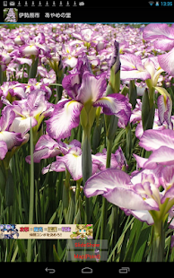 How to install Village of Iris in Isehara 3.01 unlimited apk for laptop