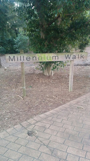 Millennium Walk