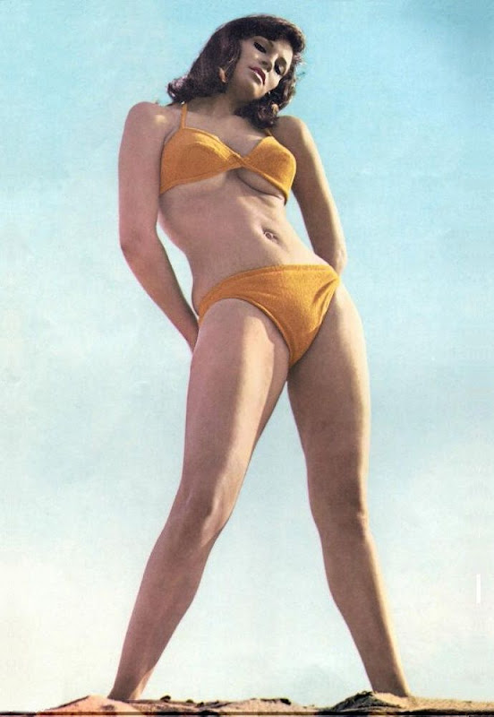 The Sexy Miss Raquel Welch
