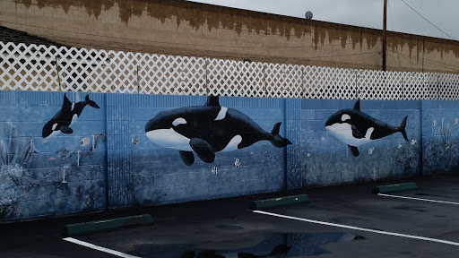 Orca Murals