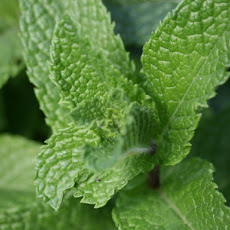 Mint and Green Chile Granita