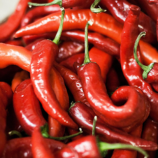 How to mod Hot Pepper with rain drops WP 1.0 mod apk for laptop