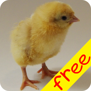 Baby Animal Farm (Free).apk 1.4