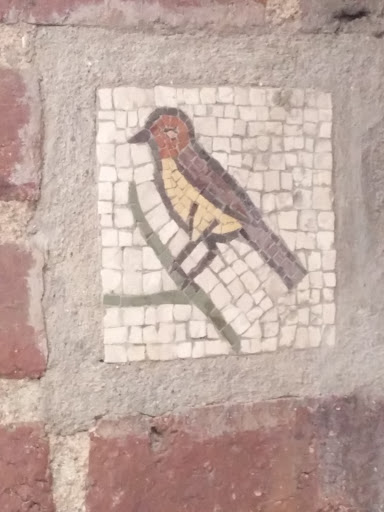 Bird on Wall 