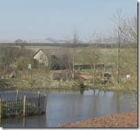 whitmuir farm