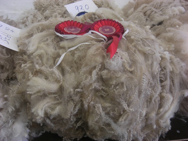 [shetland fleece[3].jpg]