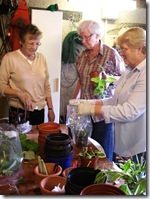 gardening group2 cuttings