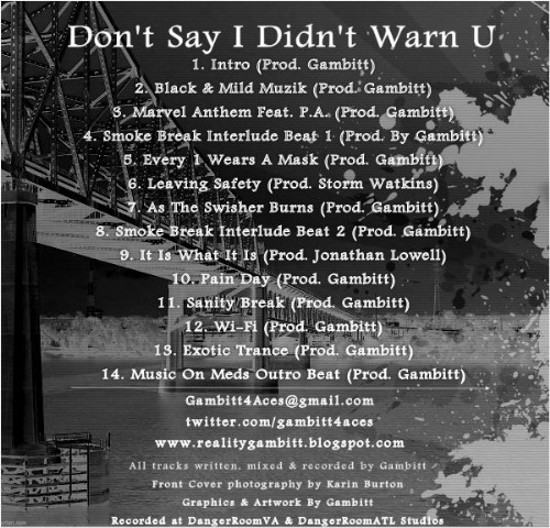 [DSIDWUbackcover[3].jpg]