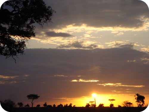 masai mara sunset