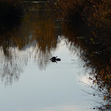  &ndash; Today on the Lake Oct 30 2009