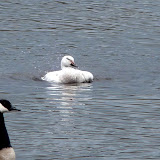  &ndash; Today on the Lake March 13 2010