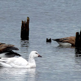  &ndash; Today on the Lake March 13 2010