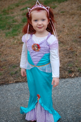 [DSC_0051[2].jpg]