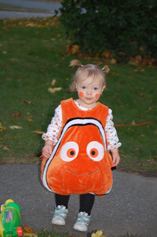 [DSC_0115[2].jpg]