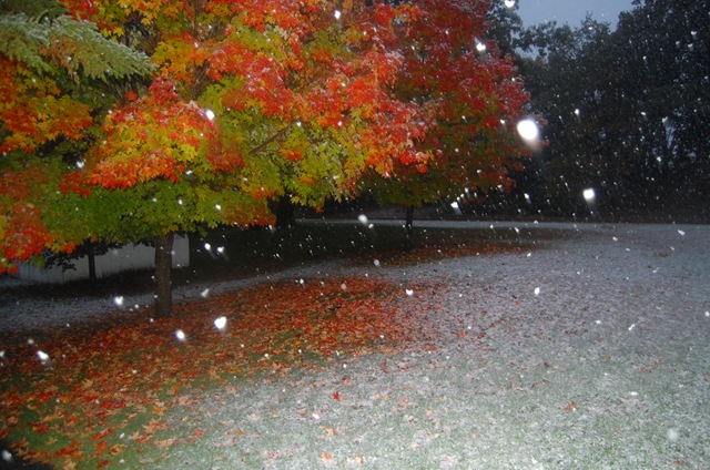 [DSC_0619[2].jpg]