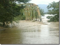 PUENTE AMINA ESPERANZA PUENTE AMINA ESPERANZA