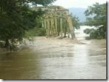 PUENTE AMINA ESPERANZA