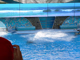 Splish splash.