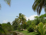Walking path in the botanical gardens.