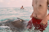 Chase being approached by a stingray.