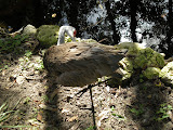 Another one of those birds standing on one legs that isn't a flamingo.