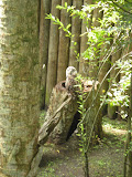 Another owl