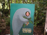 Katie the Manatee