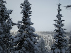 Colorado - December 2008