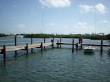 DSCN0681.JPG