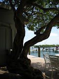 DSCN0684.JPG